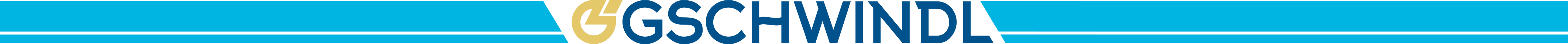 Gschwindl Fahrtendienst